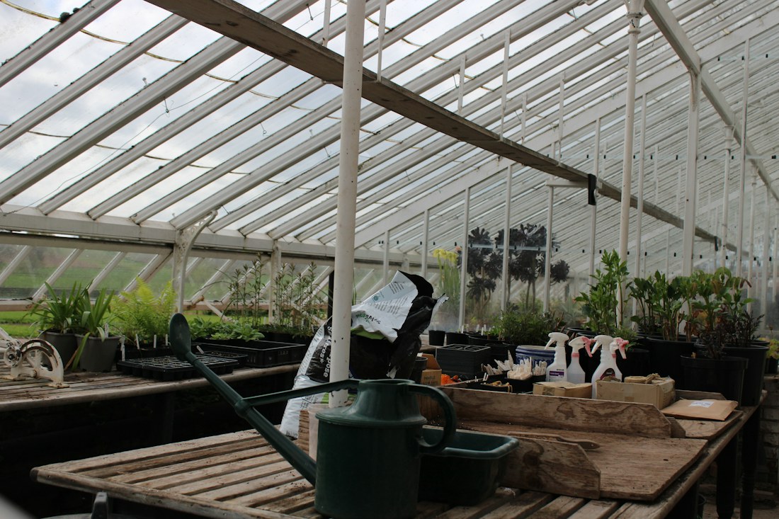 Tools and a watering can on a greenhouse potting table